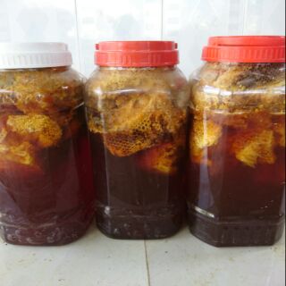 Mật ong rừng nguyên sáp( ong khoái lớn) 1kg