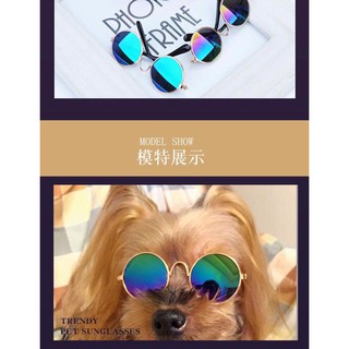 KÍNH MẮT THỜI TRANG CHO CHÓ MÈO