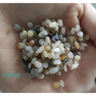 Sỏi biển thiên nhiên trang trí bể cá, tiểu cảnh, sân vườn, thuỷ sinh - 1kg