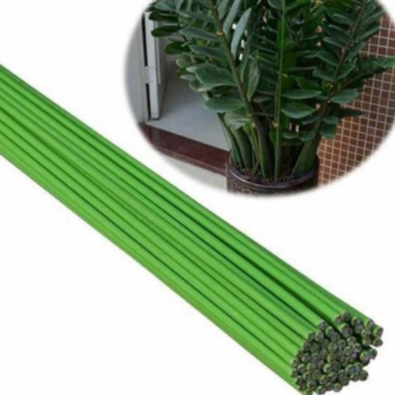 1 Que cắm hoa, cắm lan, hoa hồng màu xanh dài 90cm - 3.5li