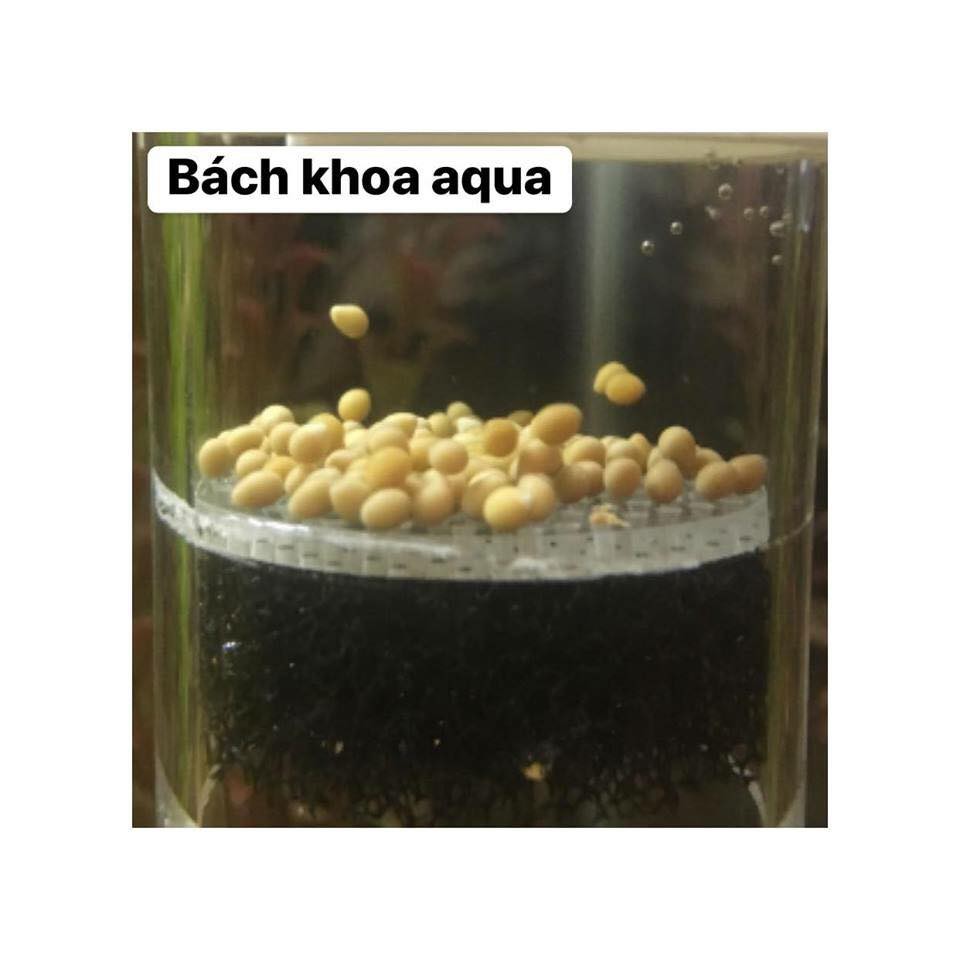 Bộ ấp trứng cá Bách Khoa Aqua