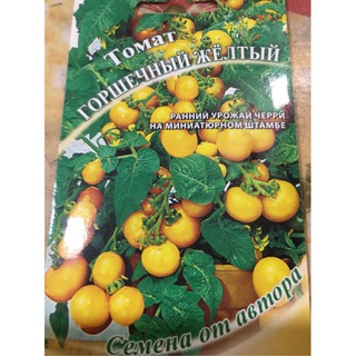 Hạt giống cà chua bi vàng lùn nhập khẩu.