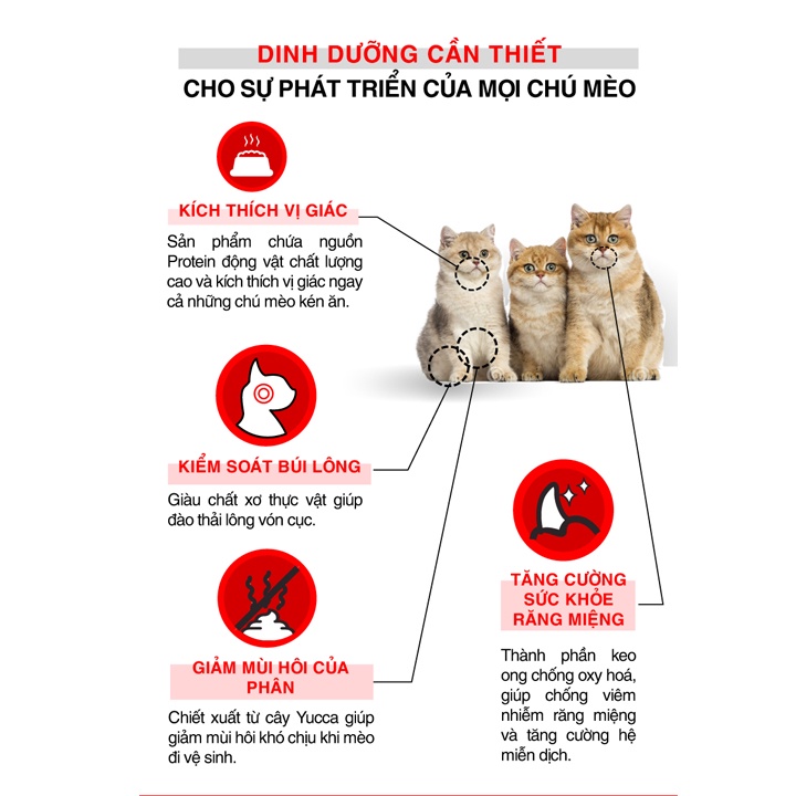 Thức Ăn Hạt Cho Mèo Catsrang 5kg Giá rẻ #MintPet