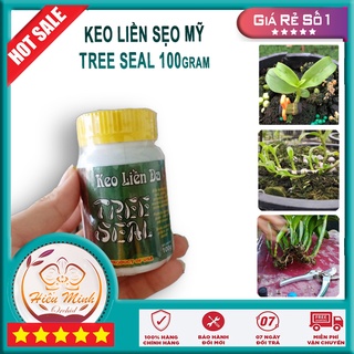 Keo liền sẹo Tree Seal USA Morrisons nhập khẩu