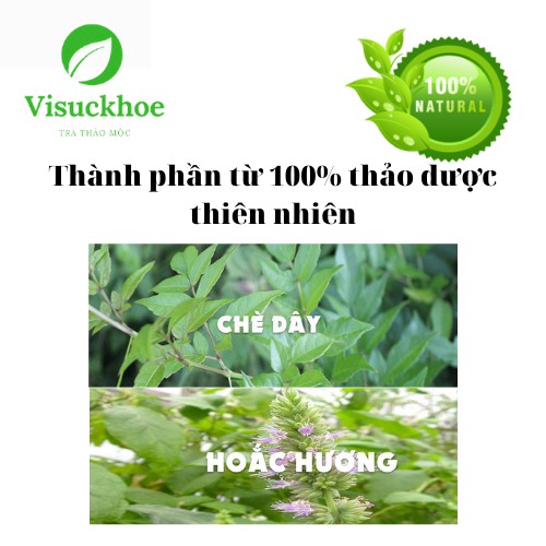 [100% TỰ NHIÊN] TRÀ DÂY HOÀNG THẢO MỘC - Thanh nhiệt, giải độc Giảm viêm dạ dày, đại tràng, tá tràng Giúp tiêu hóa tốt