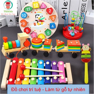 [ FREESHIP ] Combo đồ chơi trí tuệ bằng gỗ, an toàn cho bé, giúp phát triển toàn diện