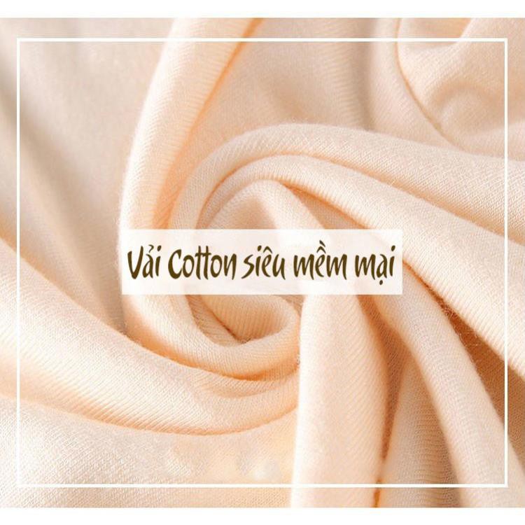 Quần lót nữ cotton xuất Mỹ có BIGSIZE siêu rẻ bền đẹp hàng tuyển chọn QL05