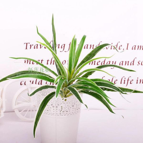 cụm tóc tiên trang trí