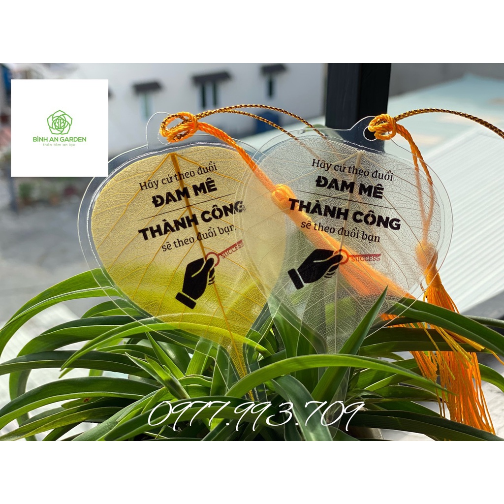 NHỮNG CÂU NÓI ĐỘNG LỰC, THÚC ĐẦY, CỐ GẮNG