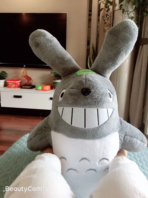 (Order) Thú bông TOTORO size đại (kèm ảnh thật)