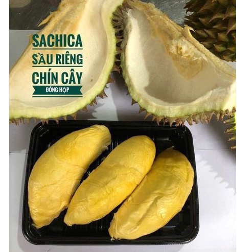 SHIP HỎA TỐC HN - Sầu riêng chín cây tự nhiên SACHICA khay 400gr đông lạnh