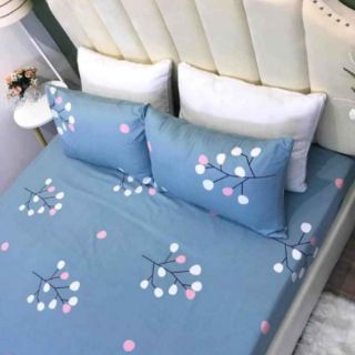 Bộ ga gối cotton