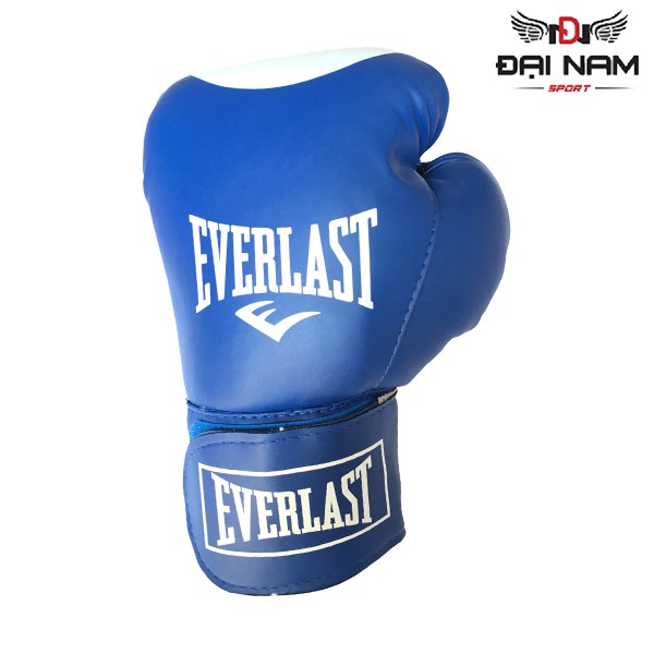 Găng tay đấm bốc Everlast cao cấp tập võ thuật