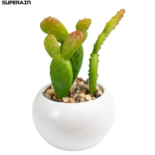 Chậu cây bonsai nhân tạo mini nhiều kiểu độc đáo trang trí bàn làm việc
