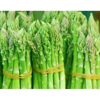 Hạt Giống Măng Tây Xanh Gói 20 hạt - Năng Suất Chất Lượng
