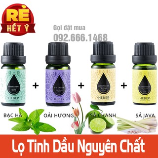 Đèn Xông Tinh Dầu Vân Gỗ Tulip [Tặng Kèm Tinh Dầu]