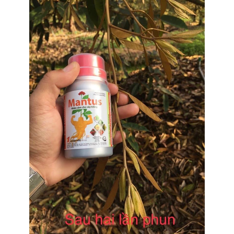 MANTUS - Phân bón Đồng sinh học  - Nhân sâm cho cây trồng 100ml
