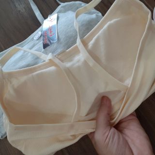 Combo 3 áo chip cho học sinh