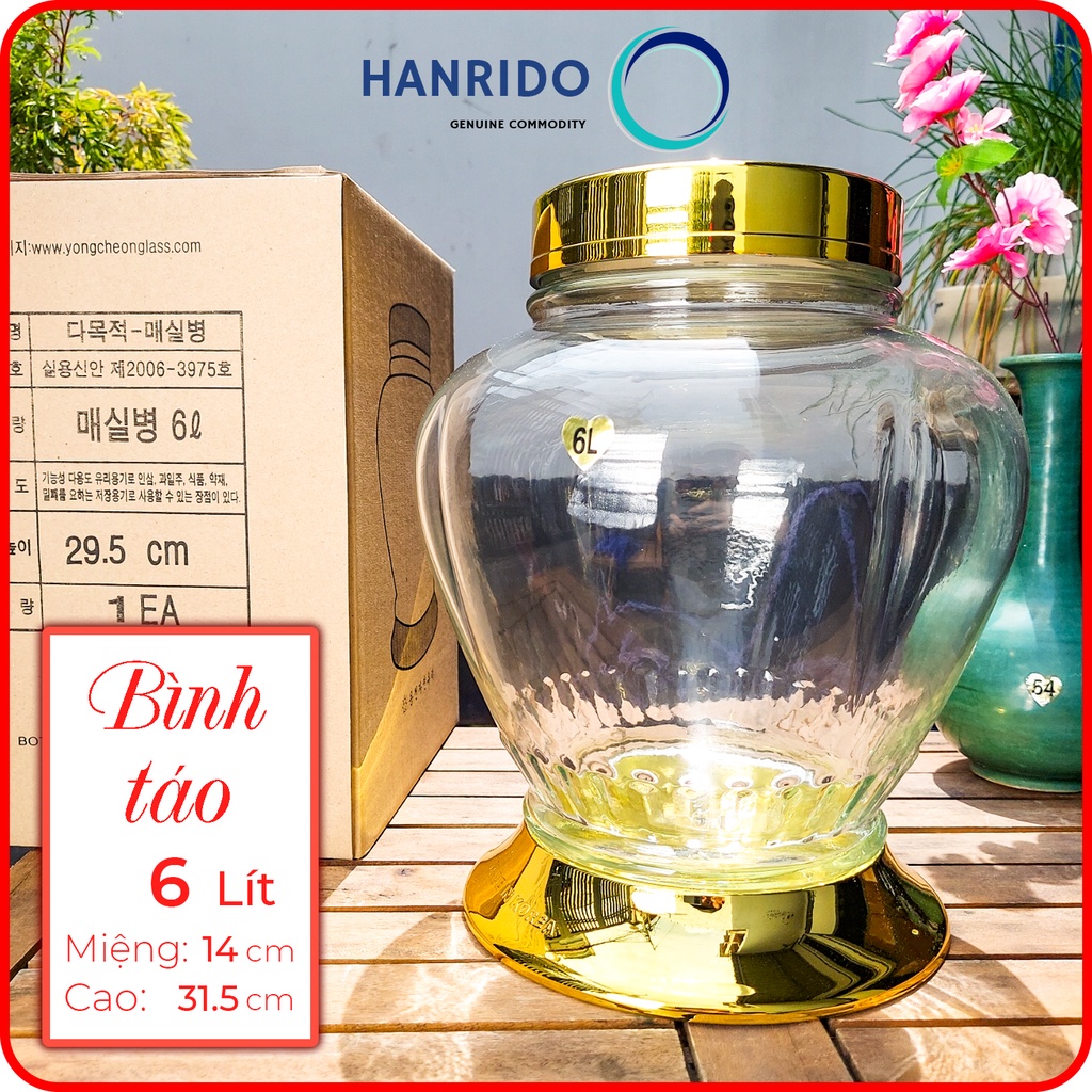 Bình ngâm rượu thủy tinh sâm Hàn Quốc 6L hình Táo - HANRIDO. Phóng sâm - Sang trọng - Sức khỏe