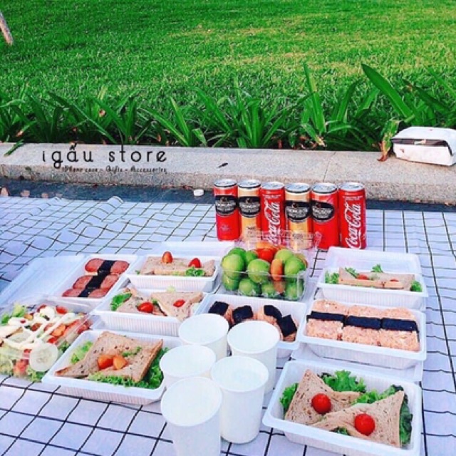 [CÓ SẴN] Thảm picnic khăn bàn caro chống thấm size lớn