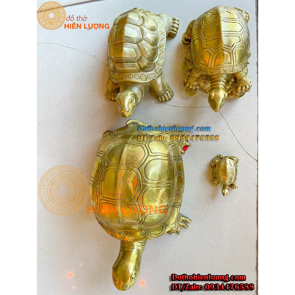 Tượng Kim Quy  Màu Vàng Bằng Đồng Nguyên Chất Các Cỡ