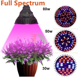 Led trồng cây 30W