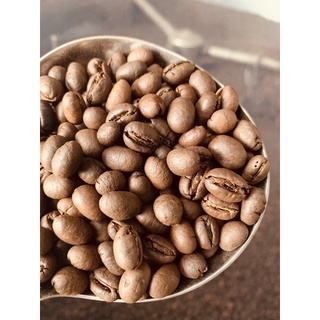 cà phê culi robusta 500g
