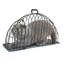 [Mã PET50K giảm Giảm 10% - Tối đa 50K đơn từ 250K] GIAO 1H lồng tắm sấy cho chó mèo 4-8kg NAn TO ĐẾ CỨNG