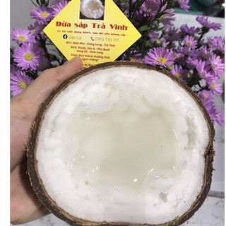 Dừa sáp Trà Vinh loại 1 trái dưới 1kg