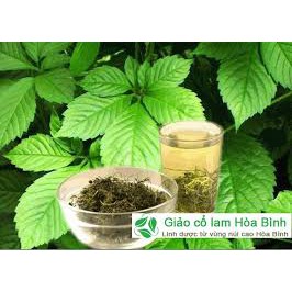 Trà túi lọc Giảo Cổ Lam - Hộp 30 túi lọcx3gr - Giúp ăn ngon ngủ tốt, tiêu mỡ thừa - Thương Hảo Hòa Bình