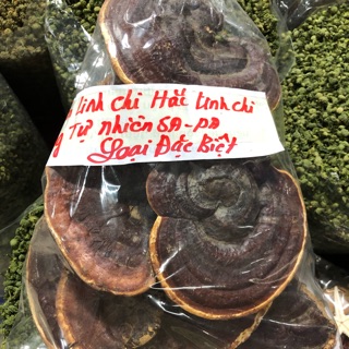 Nấm linh chi tự nhiên SAPa