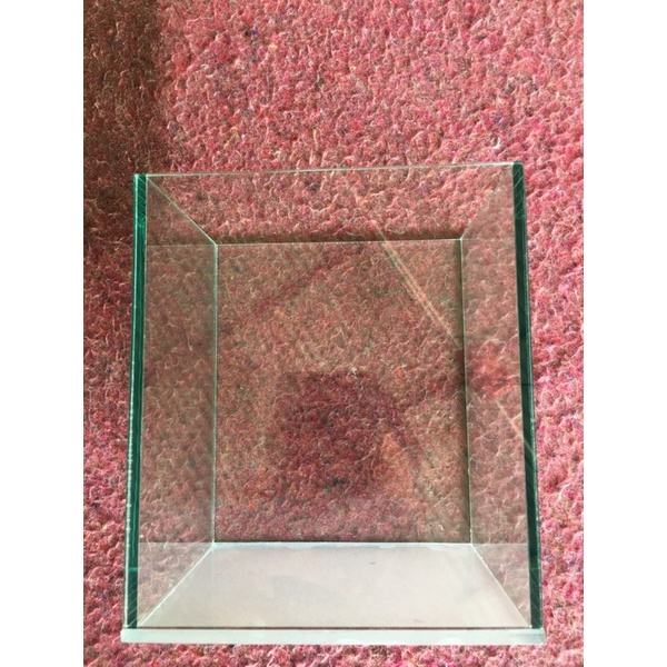 Hồ cá betta,lia thia,guppy