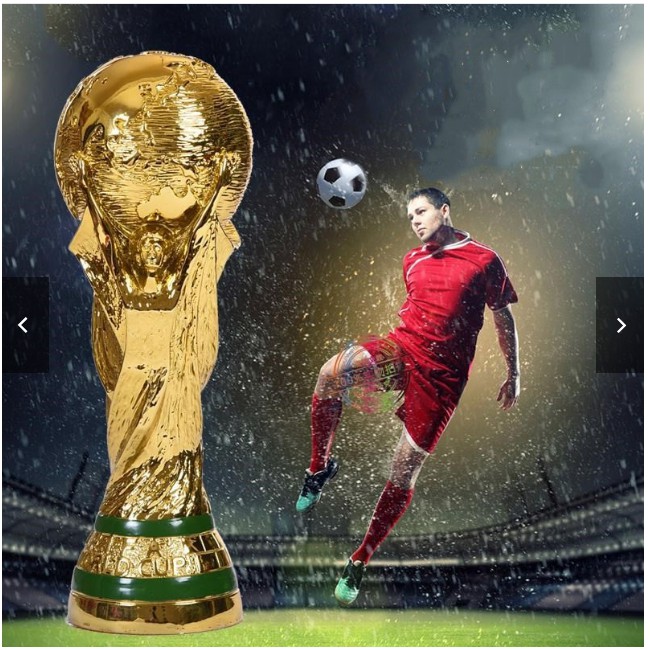 Cúp Giải Thưởng Bóng Đá World Cup