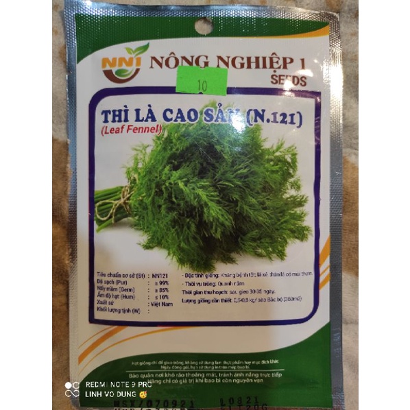 Hạt giống thì là