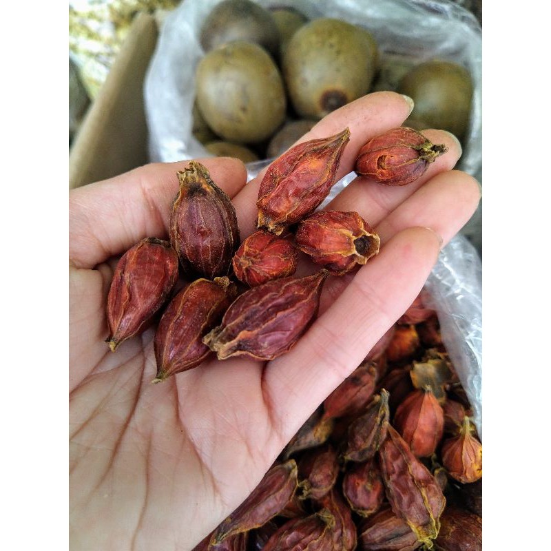 100g hạt dành dành (hạt chi tử) tạo màu