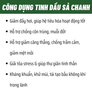Tinh dầu Sả Chanh – Essenbee – 30ml