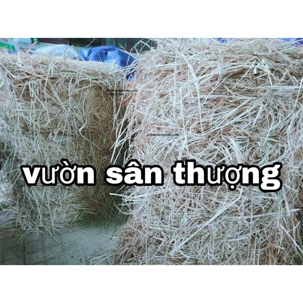 Rơm Khô  Rơm Khô Dùng Che Phủ Đất, Trang Trí, Vật Liệu Hữu Cơ Thân Thiện Môi Trường