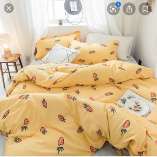 Bộ chăn ga gối 4 món igd