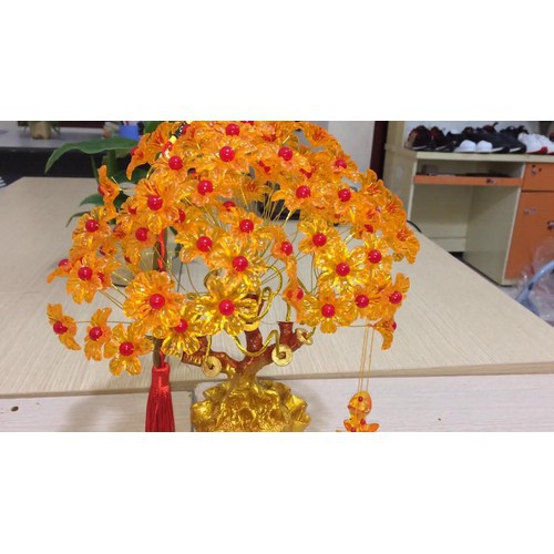 Cây Mai Trang Trí, Cây Kim Tiền Tài Lộc Để Bàn Trang Trí Cho Tết 2021, Mẫu Hót Cho Tết 2021