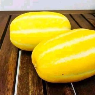 Hạt giống dưa lê Hàn Quốc
