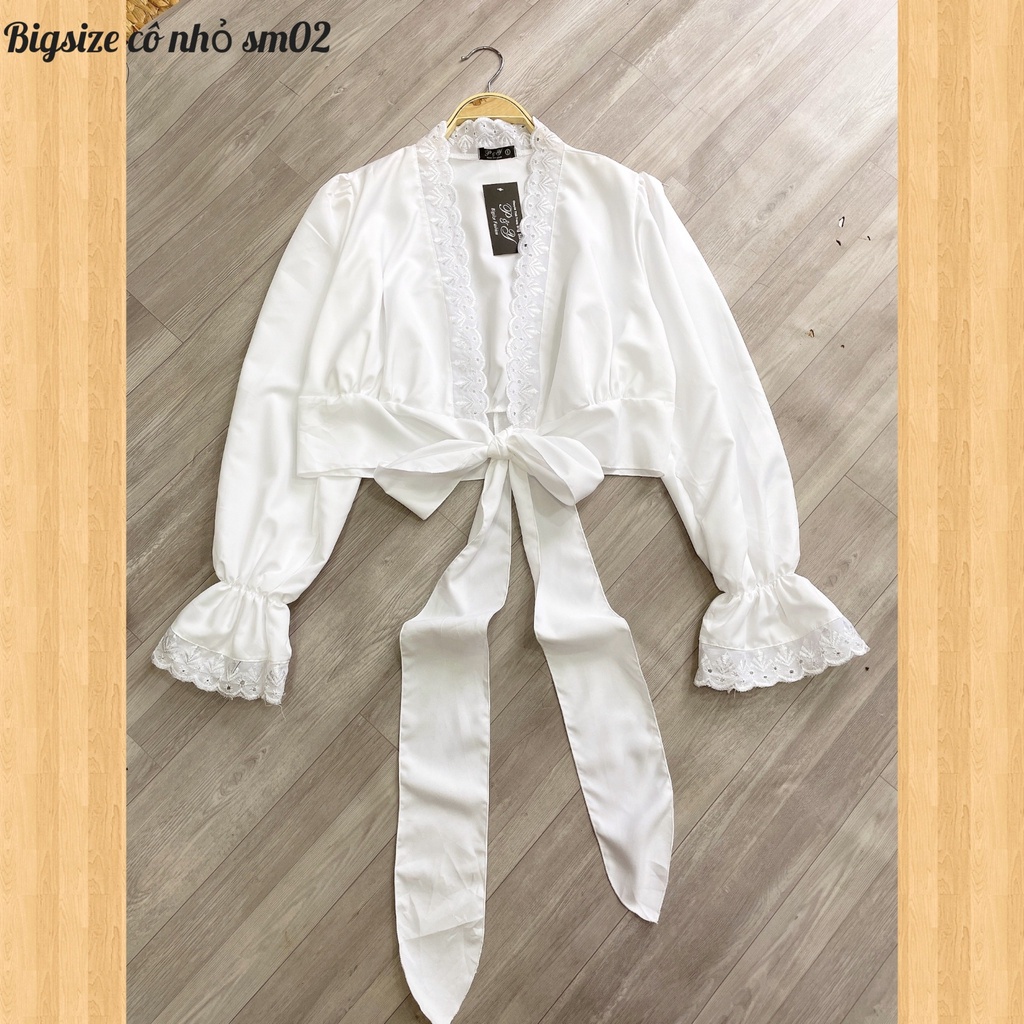 Áo Sơ Mi Kiểu Bigsize Bánh Bèo Tiểu Thư Chất Vải Lụa Lên Phom Cực Dễ Thương MÃ SM02