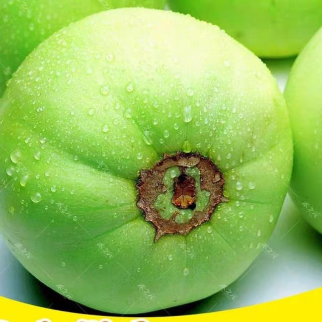 Gói 20 hạt giống dưa lê siêu ngọt