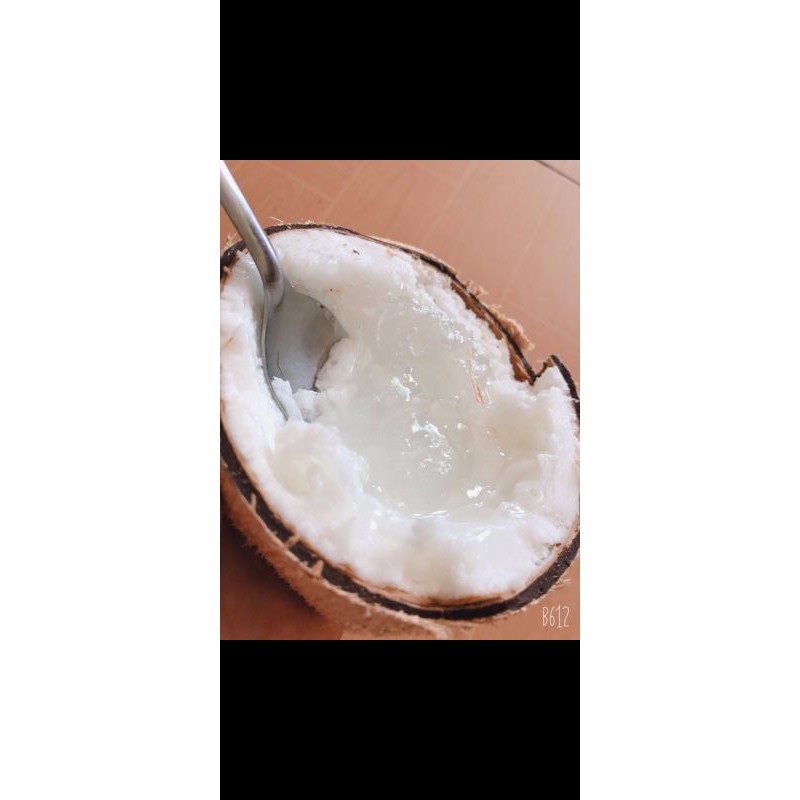 Combo 4 trái đặc biệt và 2 cây giống