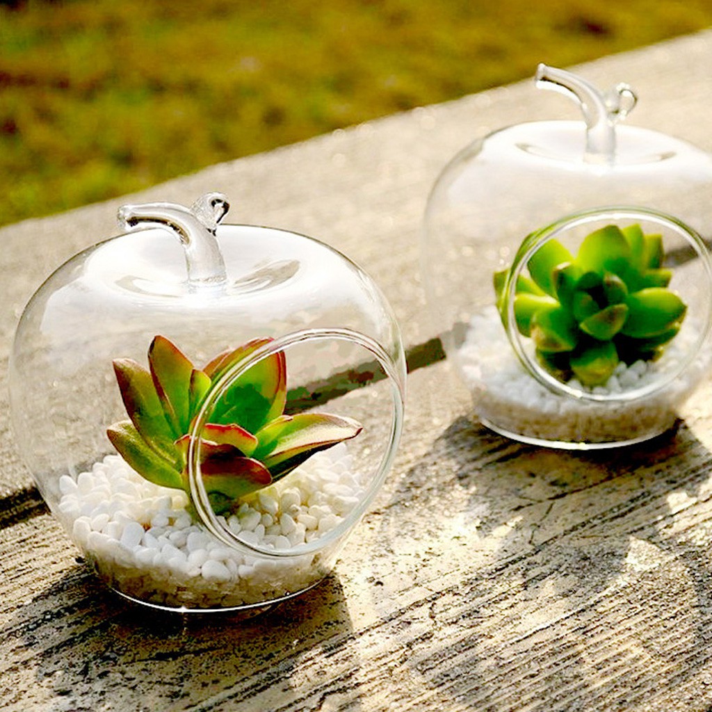 Chậu Kính Trồng Cây Thủy Canh / Nến Có Móc Treo Tiện Dụng