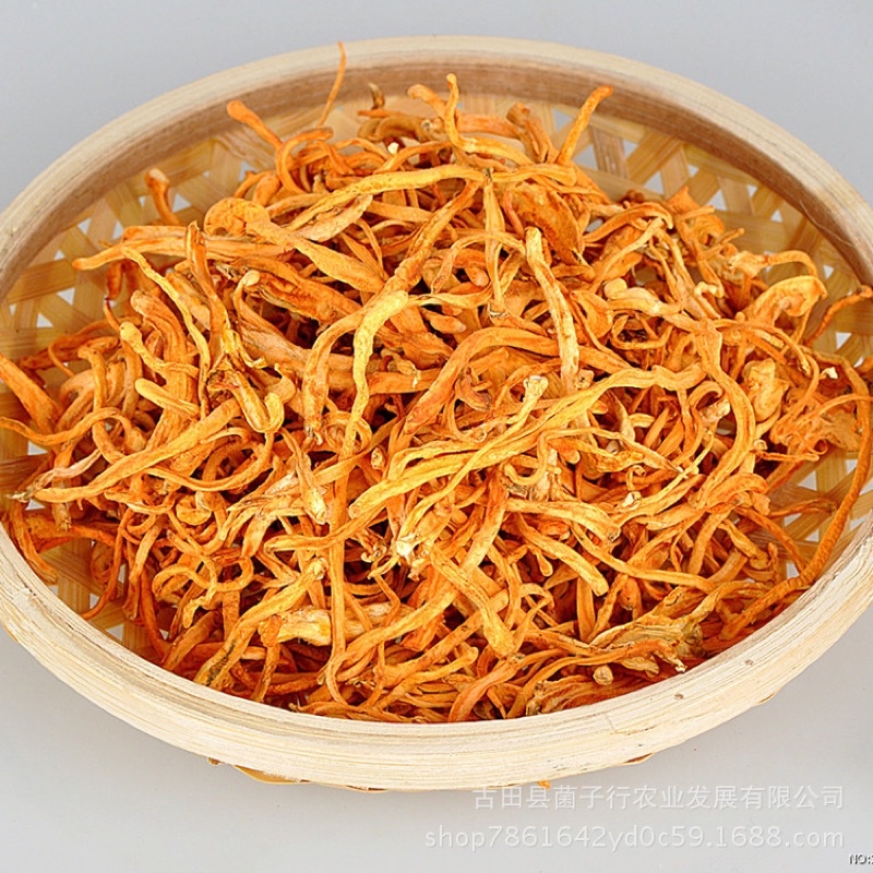 Đông trùng hạ thảo 100Gr - hàng loại ngon | Bột Natural