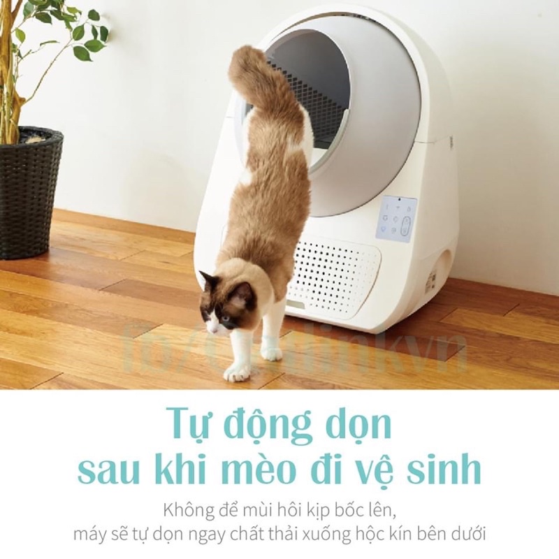 Máy dọn phân mèo tự động CATLINK