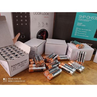 Pin Bexel LR6