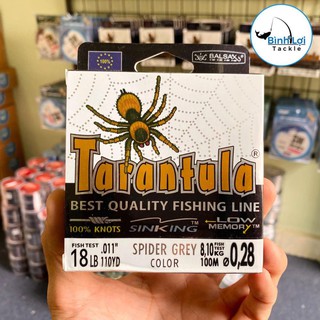 [FreeShip] Cước câu cá tarntula hiệu con nhện siêu dai