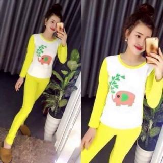 Combo 2 bộ thu đông 110k