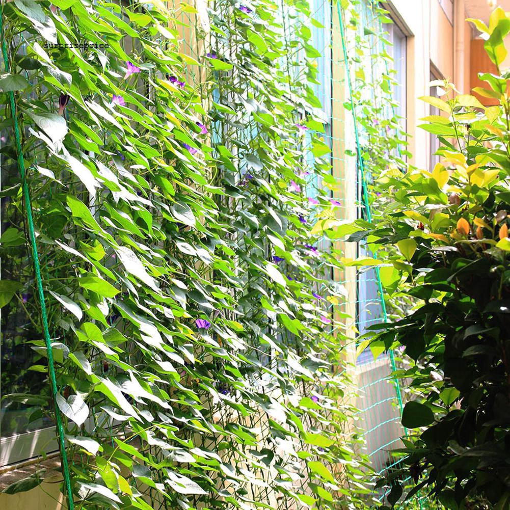 Lưới hỗ trợ trồng cây dây leo bằng nylon